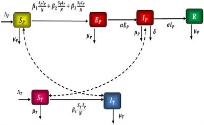 Optimal control problem for mathematical modeling of Zika virus transmission using fractional order derivatives